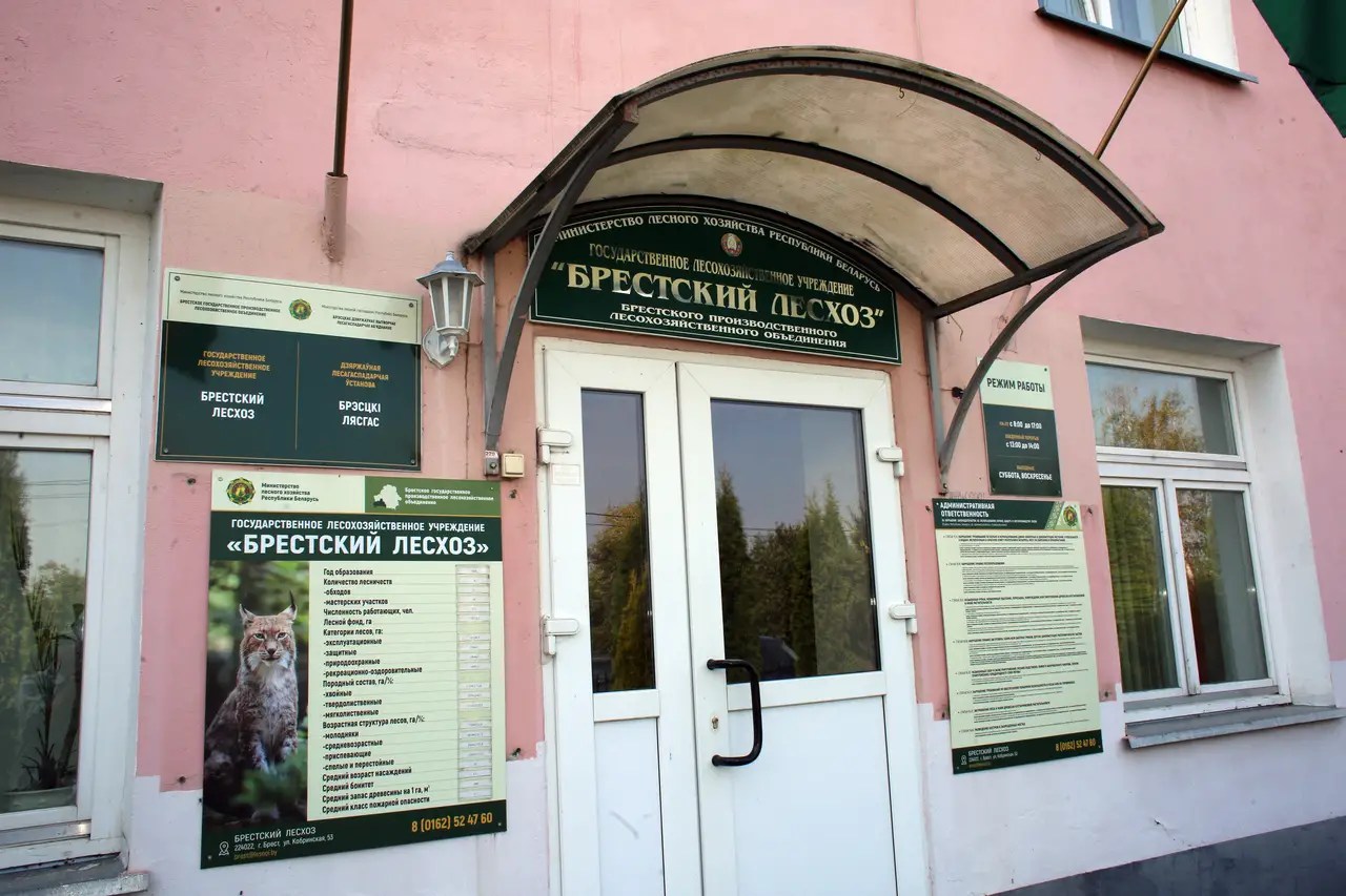 Брестский лесхоз
