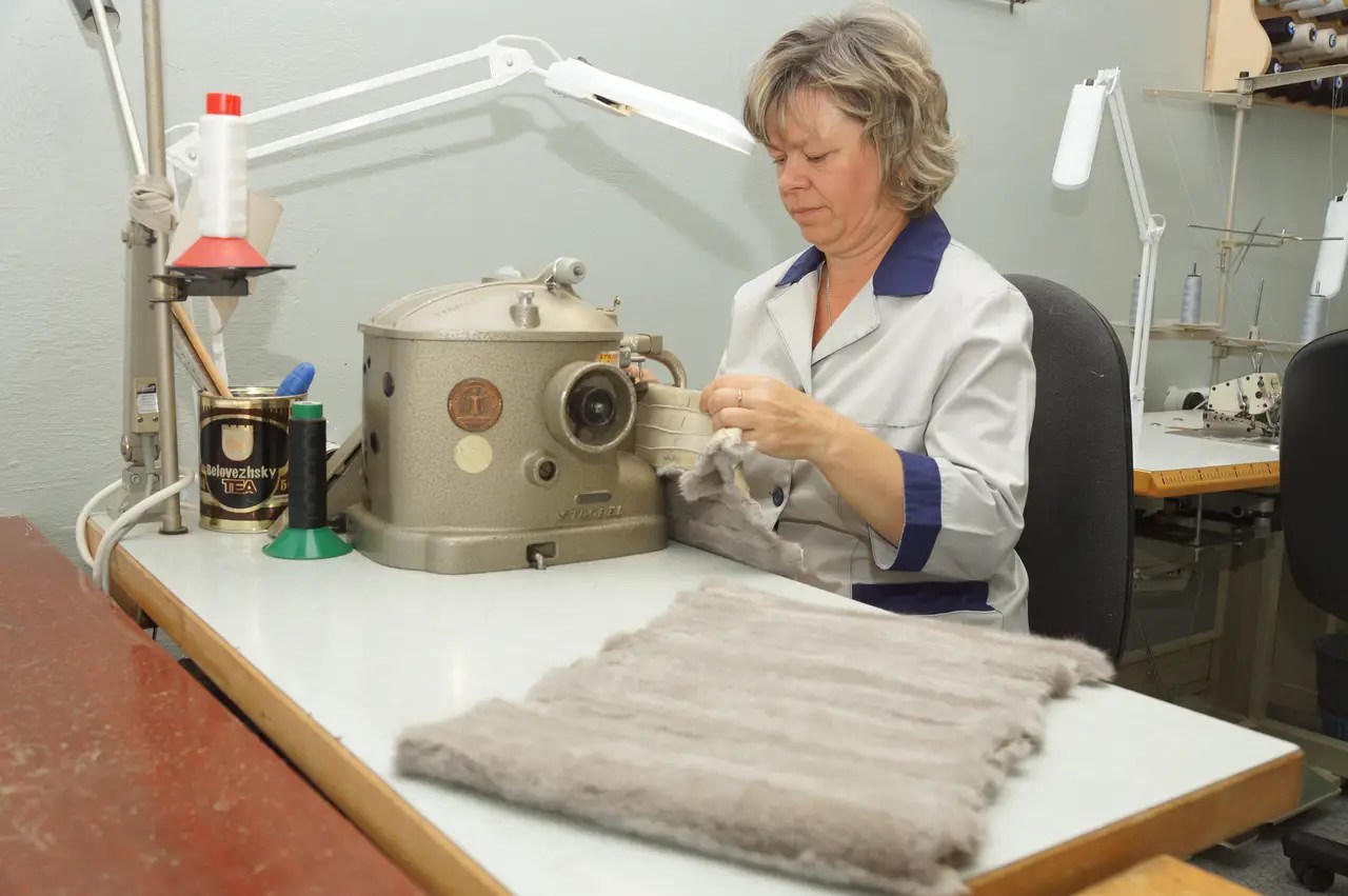 Шубы остромечево