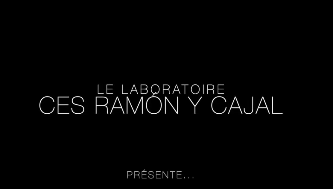 PRIMER INTERCAMBIO VIRTUAL. Experimento nº1: AGUA OXIGENADA.