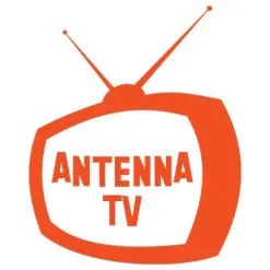 سلة المشتريات