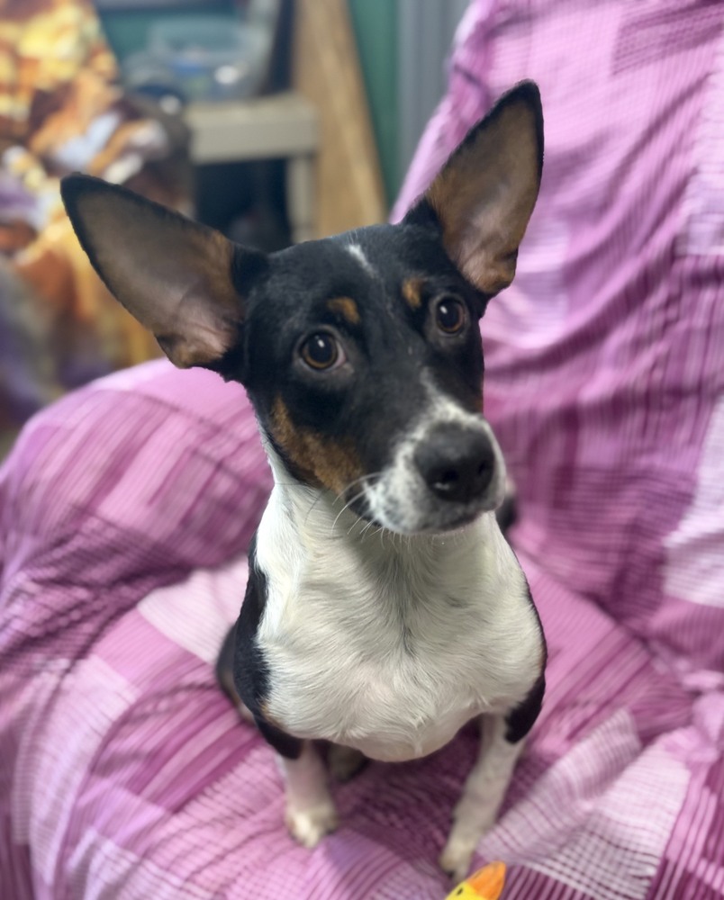 Coco