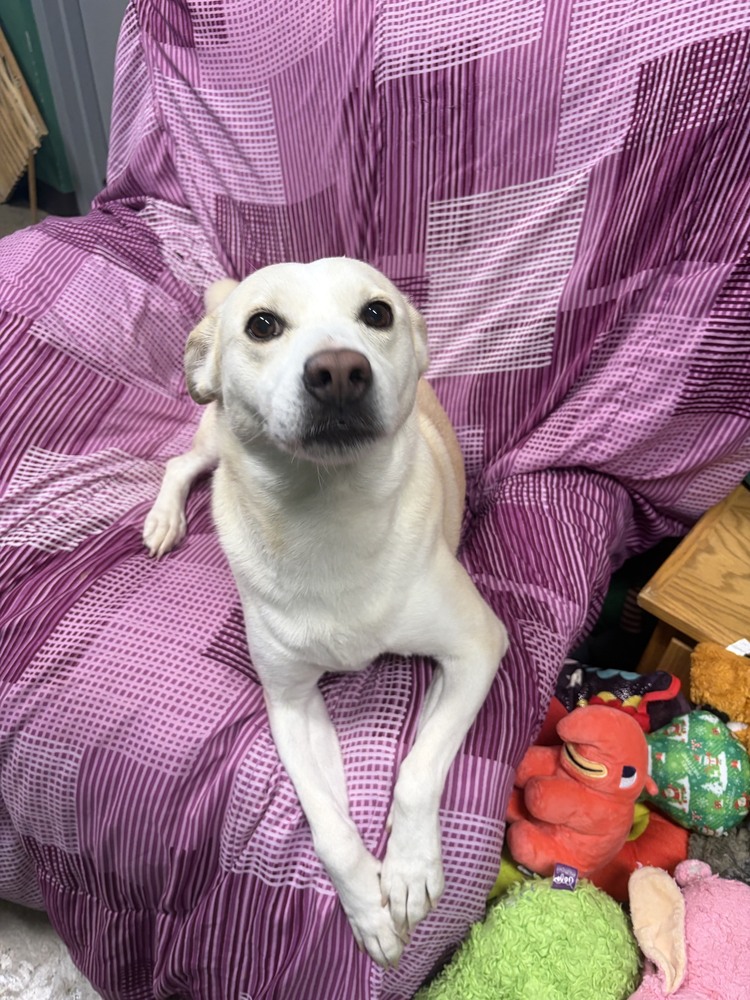 Mika
