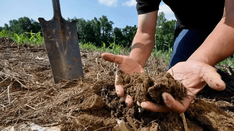 MulchSS.png?fit=800,447&ssl=1