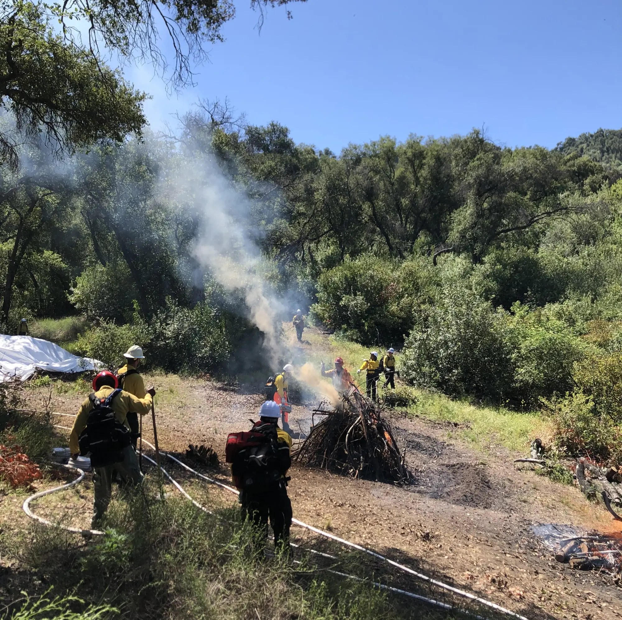 pile burn at Mama Tree Farm