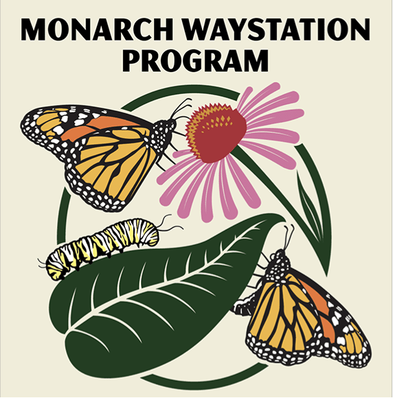 monarch_waystation_program