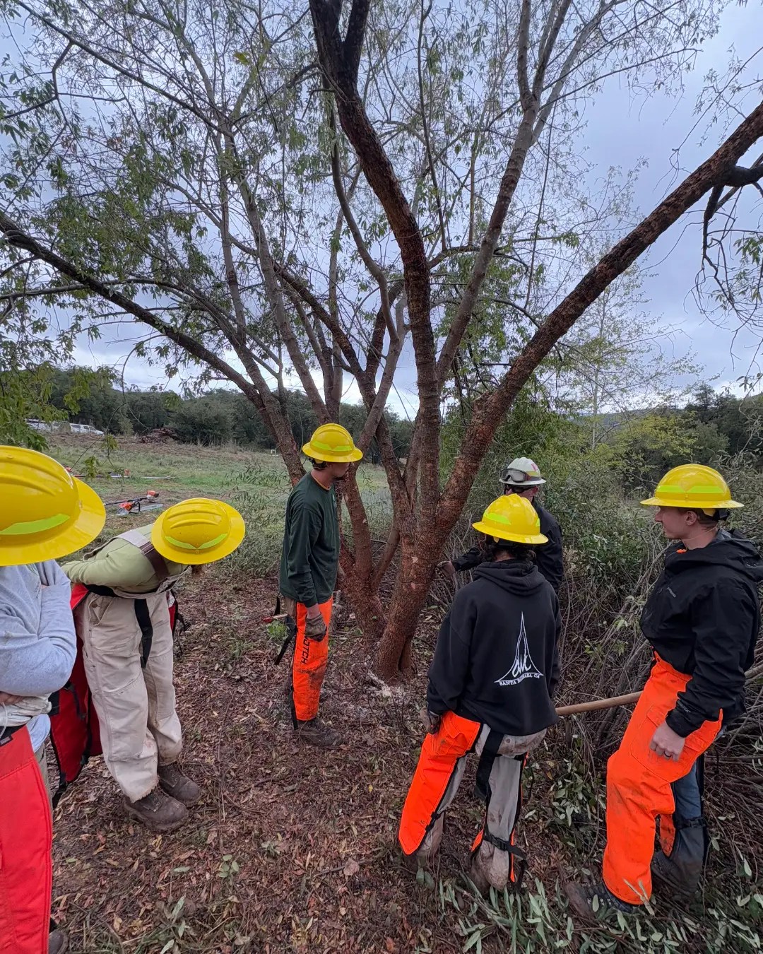 Out in the FIeld