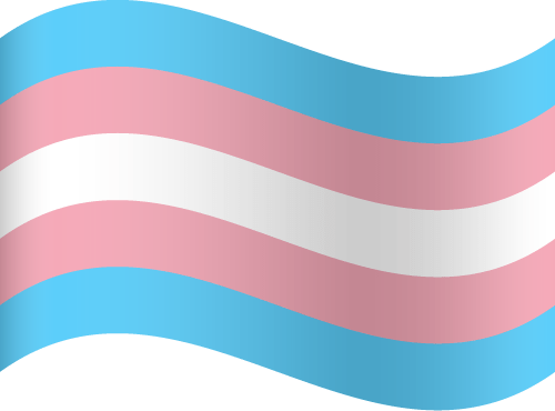 images Transgender Flag Png vector flags