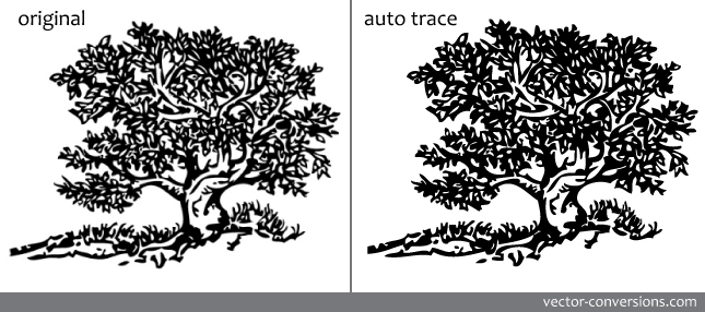 Automatic Vectorization At Vectorified Com Collection Of Automatic - 8K Sunset Pictures for Desktop