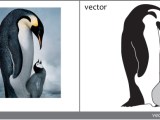 Bitmap To Vector Free At Vectorified Collection Of Bitmap To