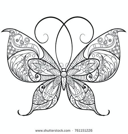 butterfly wings vector at vectorifiedcom collection of butterfly