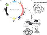 Gene Vector At Vectorified Collection Of Gene Vector Free For