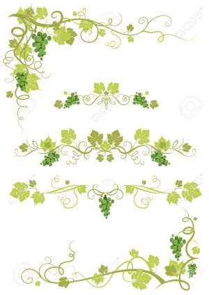 vine border clipart grape disegno vigna della vineyard vite grapevine ontwerp wijngaard het vinhedo cliparts desenho rebe depositphotos lizenzfreie vectorified