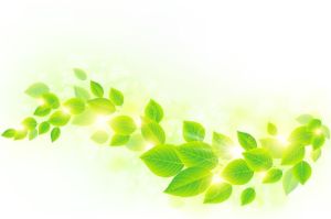 spring leaves leaf sunlight bicycle graphic children naturally healing hojas verdes primavera sol bikes child bike cheap alibaba bycycle years
