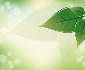 Leaf Vector Wallpaper Green Background 4