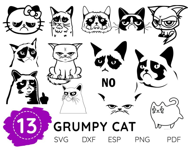 Grumpy Cat Animal Vector Tofujoe - Premium Nature Background Gallery - Desktop