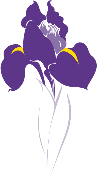 Iris Vector Images Over 22 000 - Dark Backgrounds - Stunning Full HD Collection