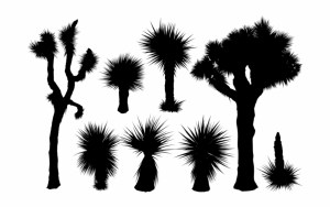 joshua tree silhouette silhouettes vecteezy clip vectorified yucca