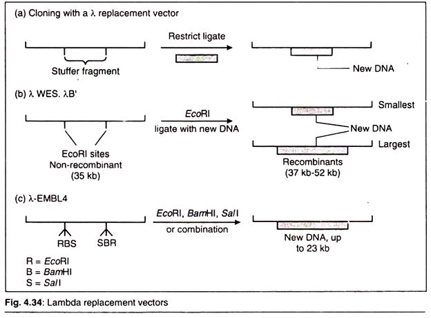 Lambda Vector At Vectorified Com Collection Of Lambda Vector Free For - Modern Ultra HD Landscape Designs | Free Download