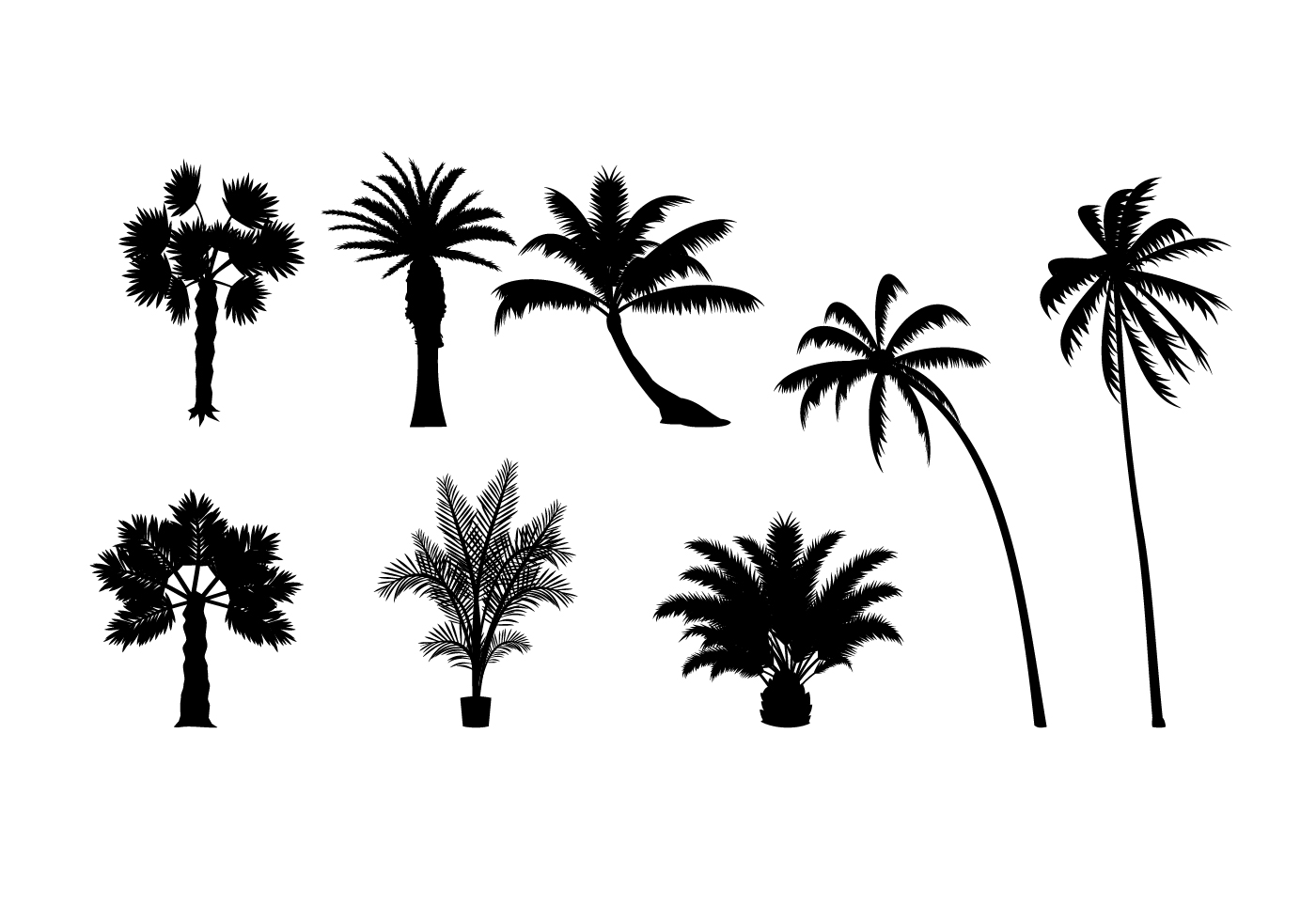 Palm Tree Outline Vector at Vectorified.com Collection of Palm Tree.