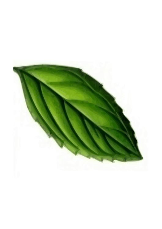 Peppermint Vector Images Over 10 000 - Space Designs - Amazing 4K Collection