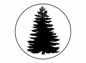 tree evergreen silhouette pine fir outline vectorified
