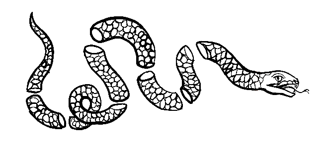 Second Amendment Vector At Vectorified Com Collection Of Second - Premium Light Illustration Gallery - High Resolution