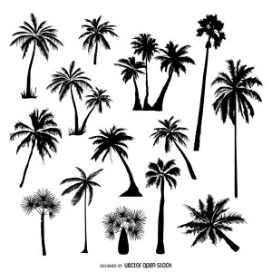 palm tree palmeras silhouette silhouettes simple tattoo draw siluetas vectores tropical trees jungle frame svg coconut line vexels styled vectorified