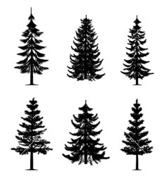 tree pine tattoo trees spruce silhouette tattoos forest vectorstock vectorified