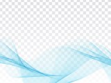 Transparent Background Vector At Vectorified Collection Of