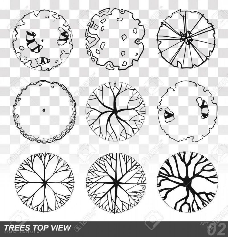 Tree Plan Elements Vector Art Graphics Freevector Com - Download Perfect Landscape Pattern | Retina