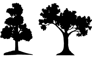 silhouette tree dxf vectorified