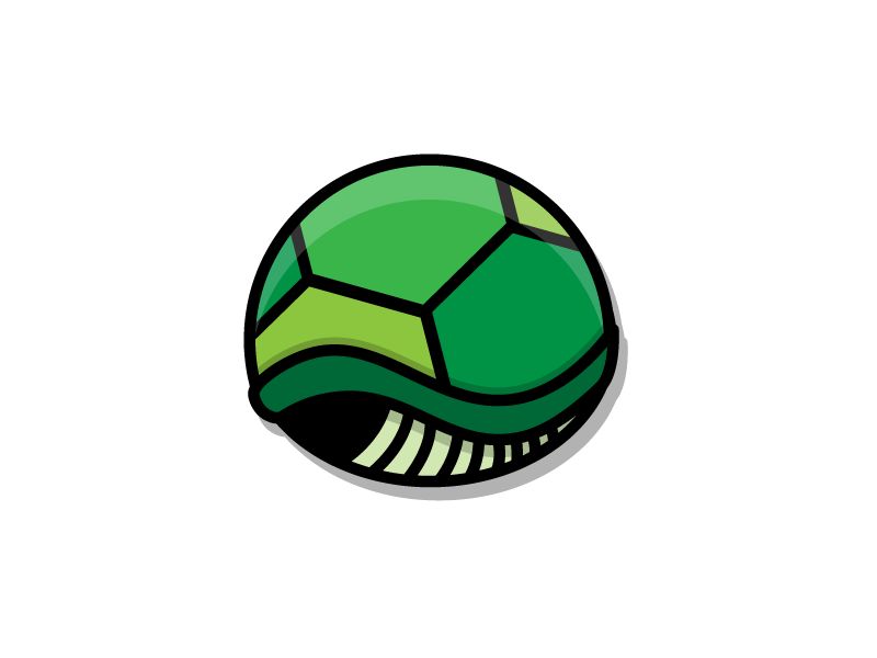 Turtle Shell Vector - Vintage Picture Collection - High Resolution Quality