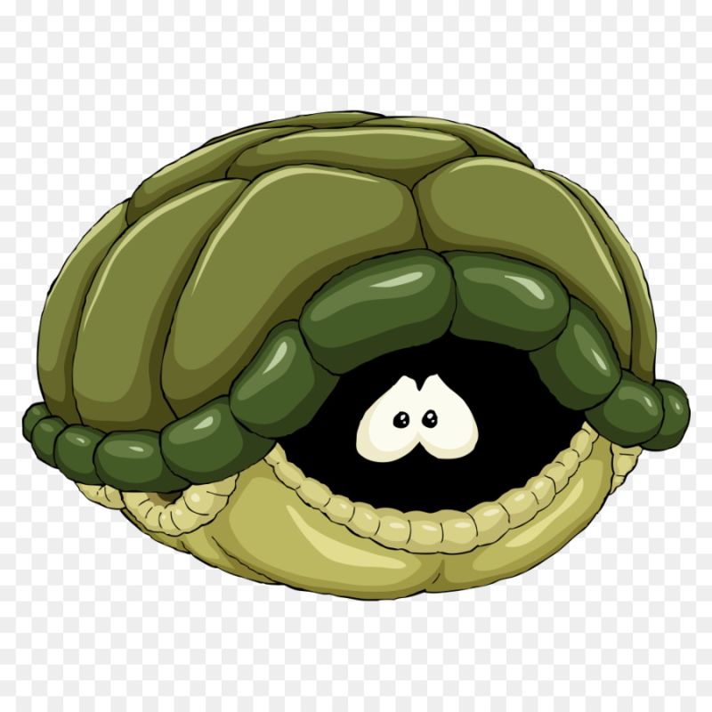 Turtle Magic Shell Vector Images 59 - Vintage Designs - Stunning HD Collection