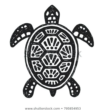 Turtle Shell Vector At Vectorified Com Collection Of Turtle Shell - Best Vintage Patterns in High Resolution