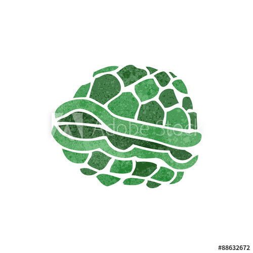 Turtle Shell Vector At Vectorified Com Collection Of Turtle Shell - Mountain Image Collection - HD Quality