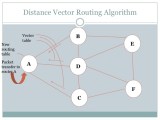 Vector Algorithm At Vectorified Collection Of Vector Algorithm