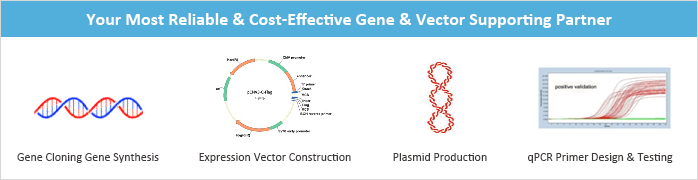 Vector Backbone Pbluescript Ii Sk - Full HD Mountain Wallpapers for Desktop