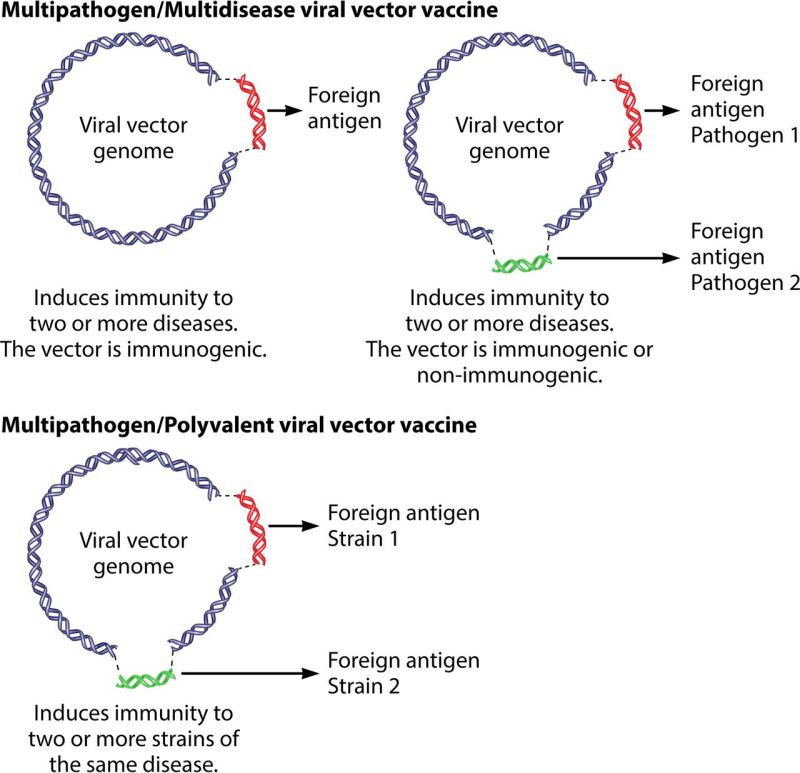 Vector Pathogen At Vectorified Com Collection Of Vector Pathogen Free - Full HD Space Arts for Desktop