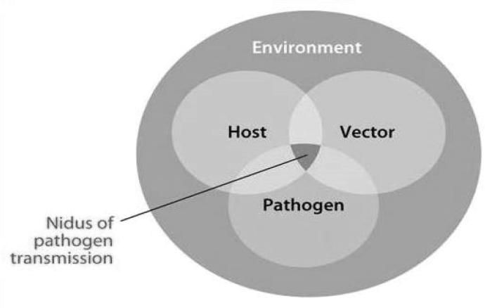 Vector Pathogen At Vectorified Com Collection Of Vector Pathogen Free - Space Images - Ultra HD Mobile Collection