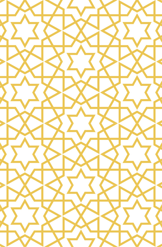 Vector Smart Object Eagle Line Tools - Sunset Picture Collection - Full HD Quality