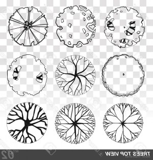 tree plan silhouette vectorified