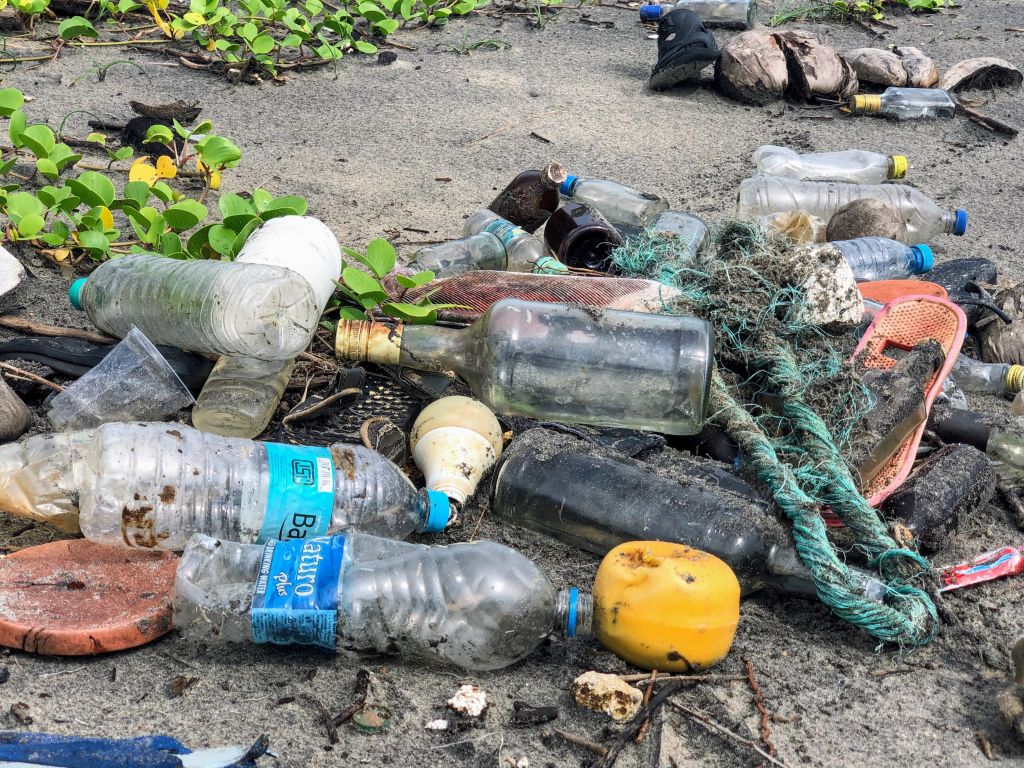 bali pollution - scattered plastic bottles 