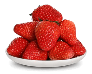 Vegetable Processing Equipment Food Processing Equipment Supplier Walley - Desktop Dark Patterns for Desktop