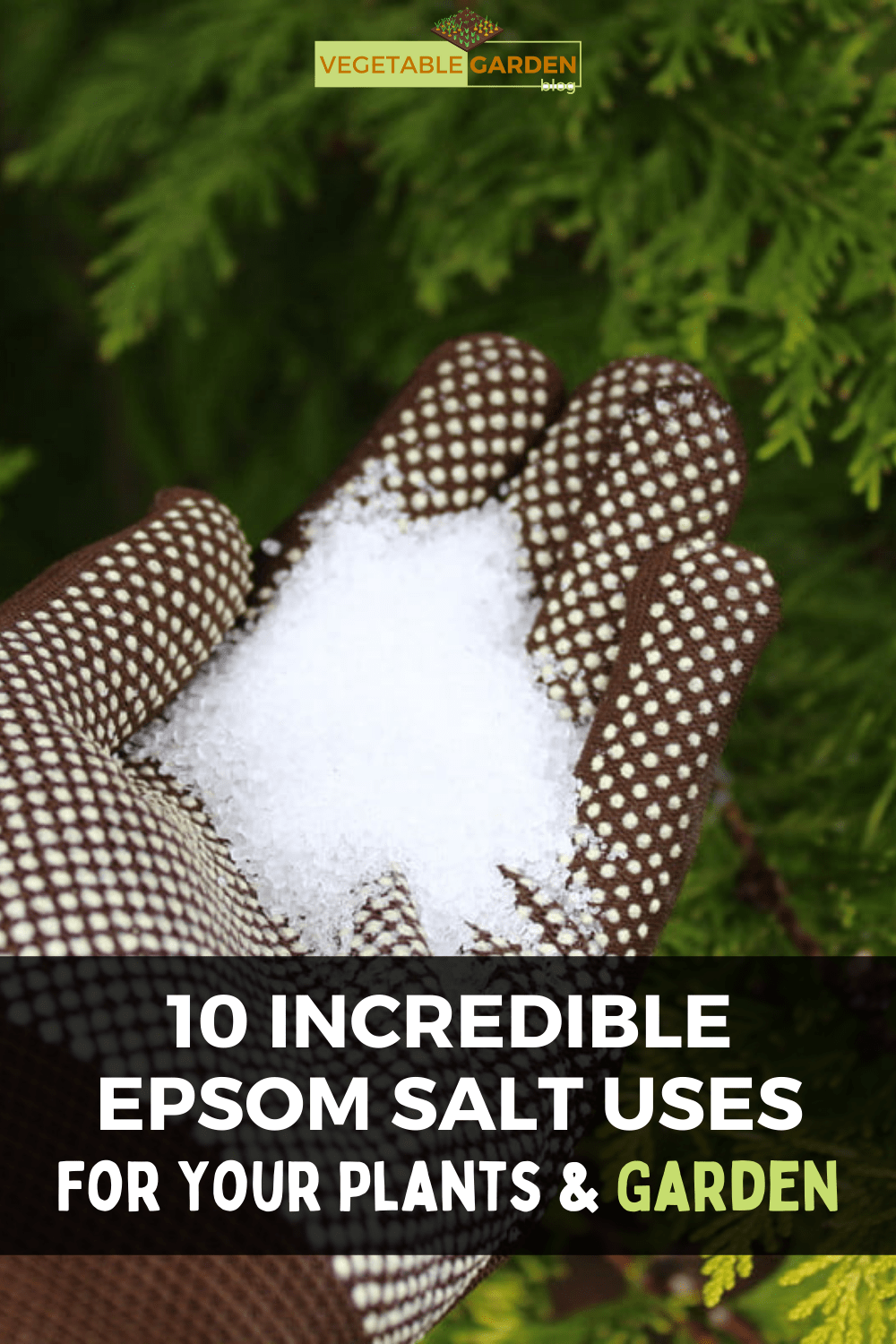 10 incredible epsom salt uses for your plants & garden