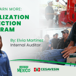 Mobilization-Inspection-Program