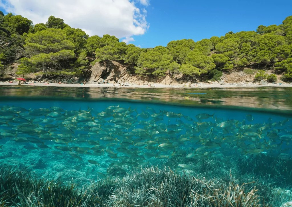 The 10 BEST Places To Snorkel In Europe For Ocean Lovers