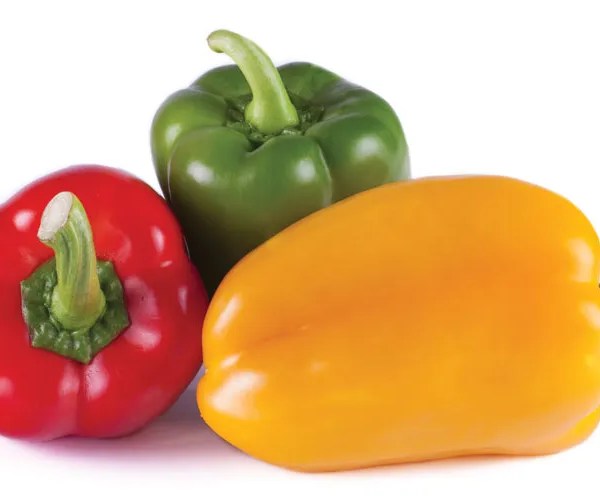 Bell Pepper