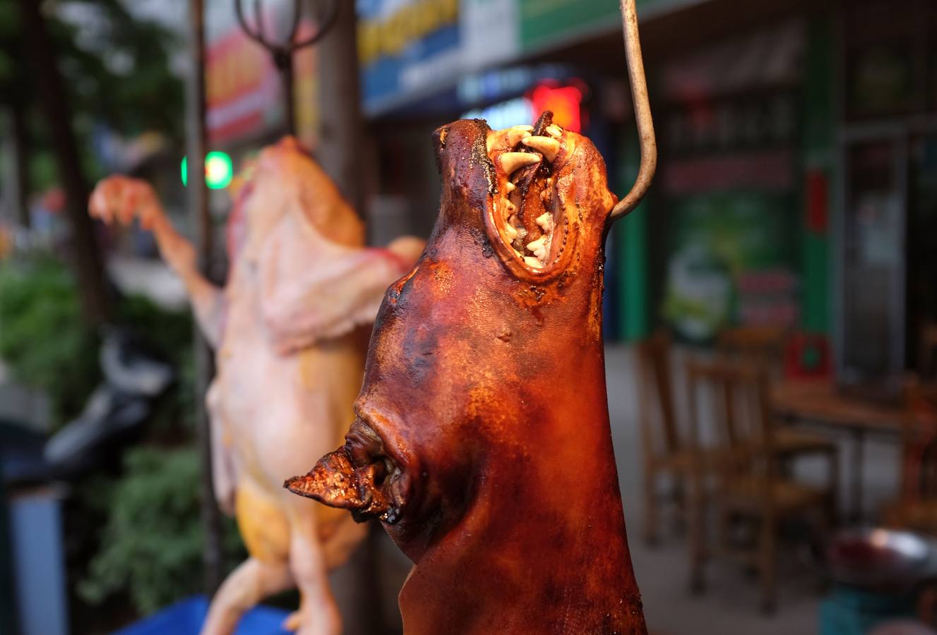 This photo taken on May 9, 2016 shows a roasted dog hanging outside a restaurant in Yulin, in China's southern Guangxi region. International groups and celebrities, backed by millions of foreign petitioners, have rallied against an annual dog meat festival in the Chinese city of Yulin: but the protests may have backfired, residents say, spurring more people to eat man's best friend. / AFP PHOTO / GREG BAKER / TO GO WITH AFP STORY CHINA-ANIMAL-DOG-FOOD, FOCUS BY BENJAMIN CARLSON