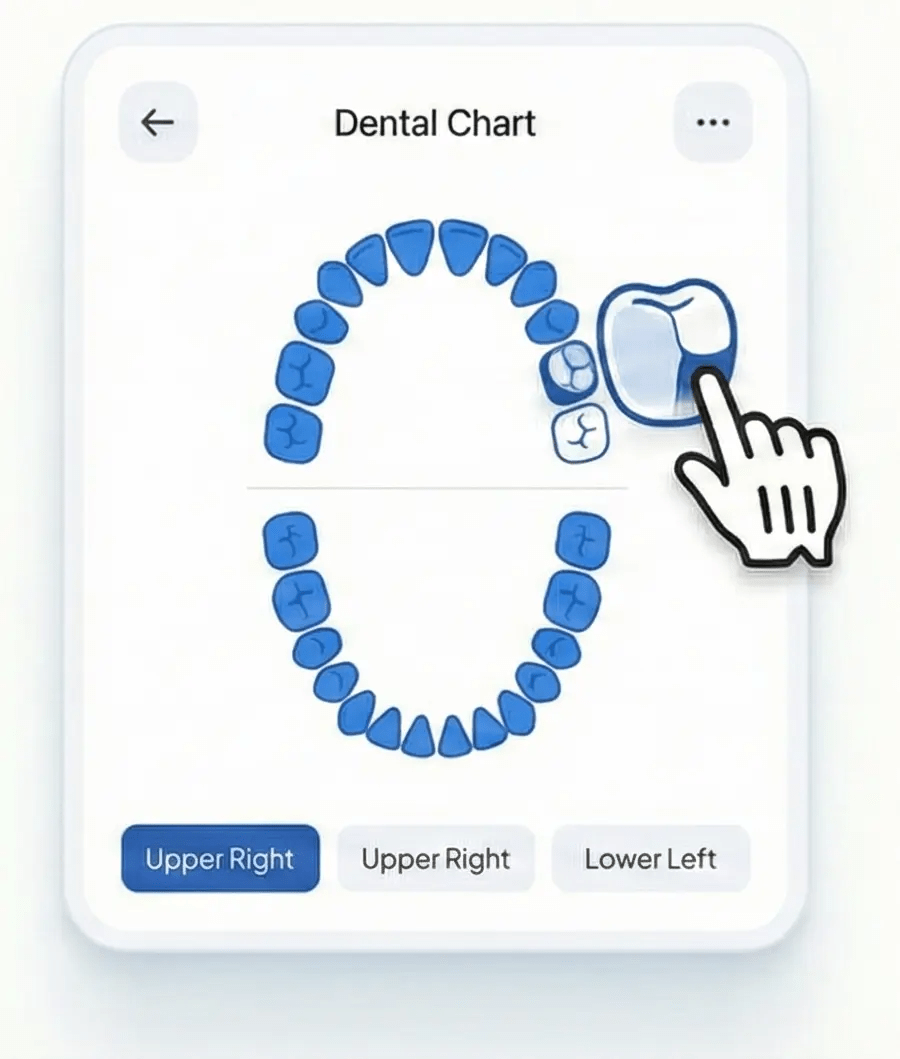 Interactive dental chart interface