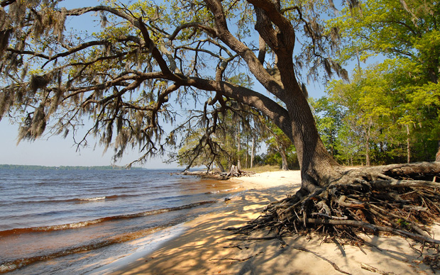 Goose Creek State Park